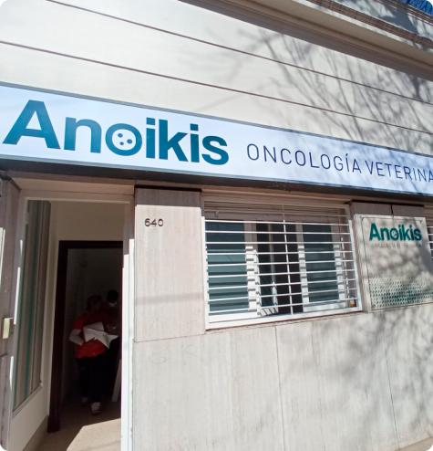 Imagen de nuestra clínica veterinaria