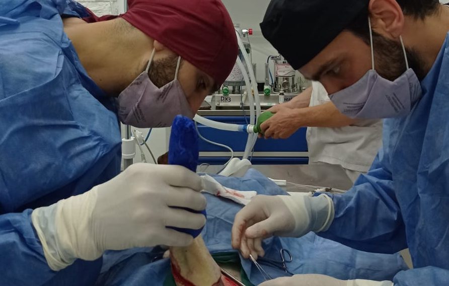 Veterinarios realizando cirugía oncológica para extirpar tumores en mascotas Imagen de veterinarios aplicando cirugía oncológica para el tratamiento de cáncer en una mascota